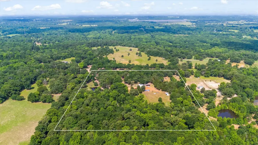 000 Vz County Road 4505, Ben Wheeler, TX 75754 - #2