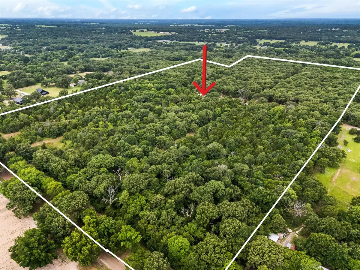 871 Vz County Road 1913, Fruitvale, TX 75127 - #1