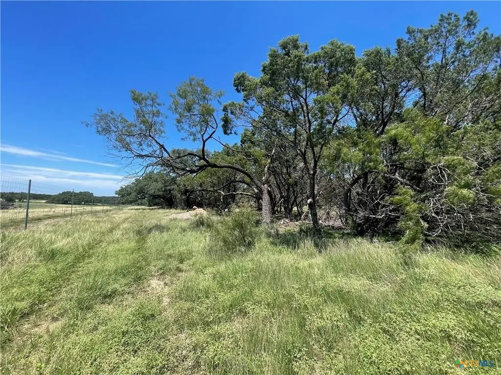 Lot 65 Estate View Circle, Lampasas, TX 76550 - #1