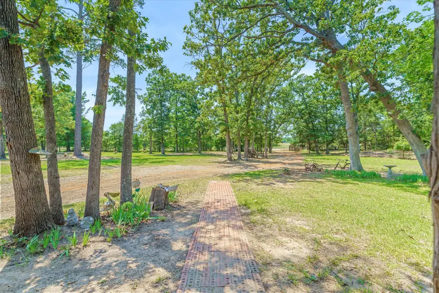7611 Fm 314, Ben Wheeler, TX 75754 - #3