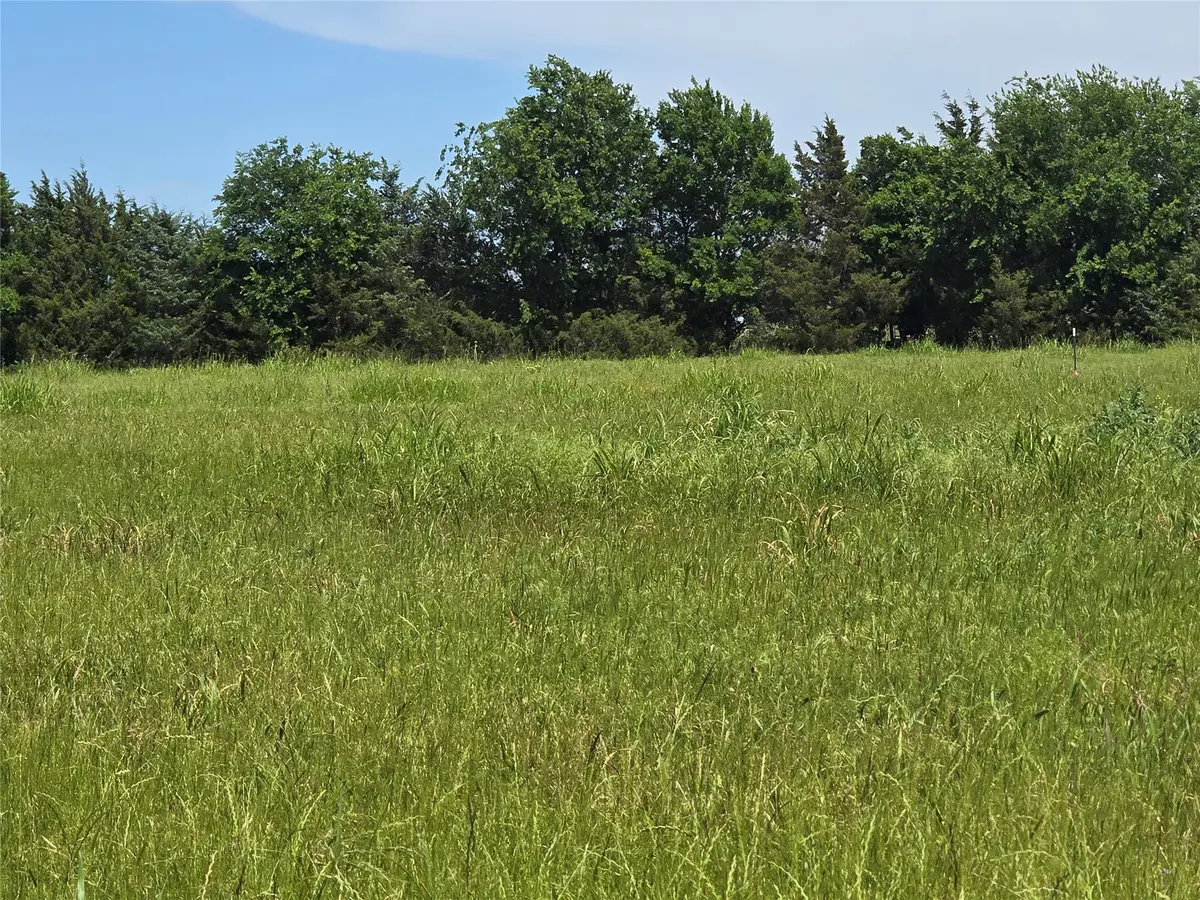TBD County Road 1039, Blue Ridge, TX 75424 - #1
