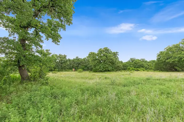 TBD 82.4 Acres County Road 1790, Sunset, TX 76270