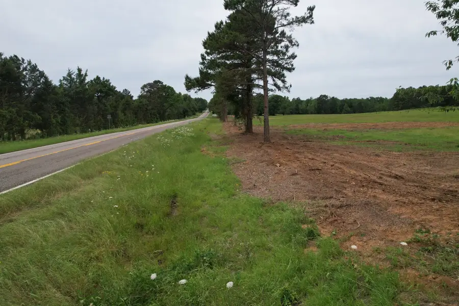 TBD-C Fm 2867, Henderson, TX 75654 - #3