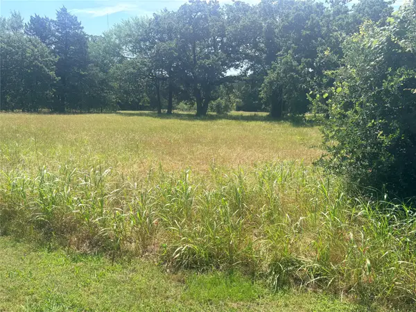 lot 73 Sombrilla, Kerens, TX 75144