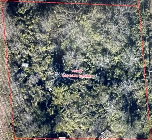 TBD LOT 121-122 Richard Drive, Gordonville, TX 76245 - #1
