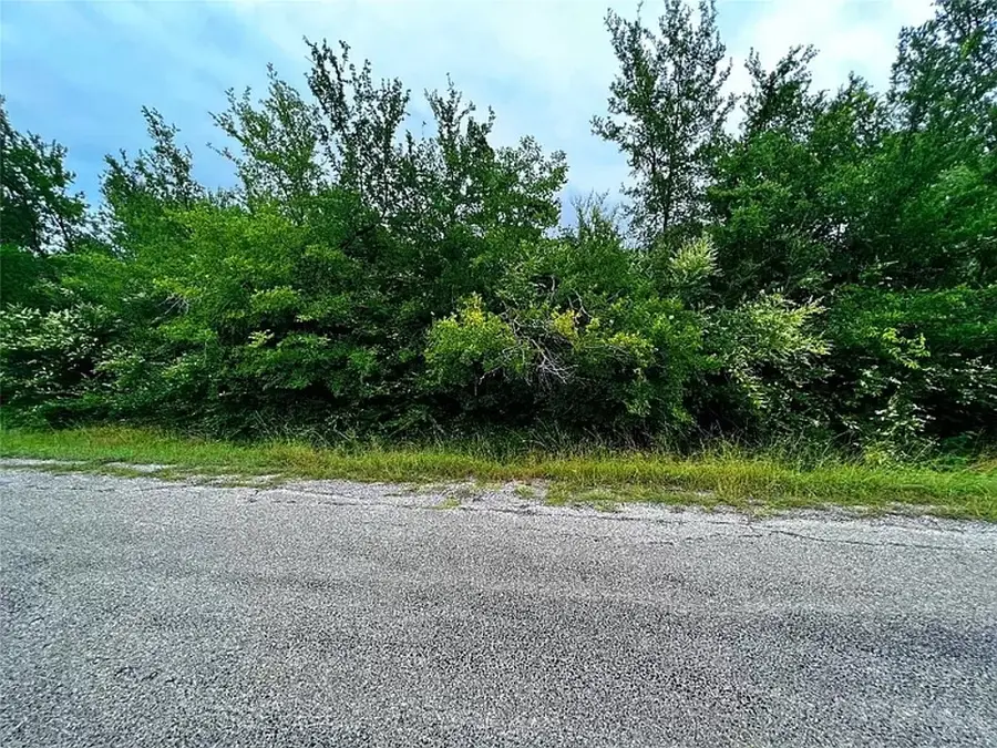 TBD LOT 121-122 Richard Drive, Gordonville, TX 76245 - #3