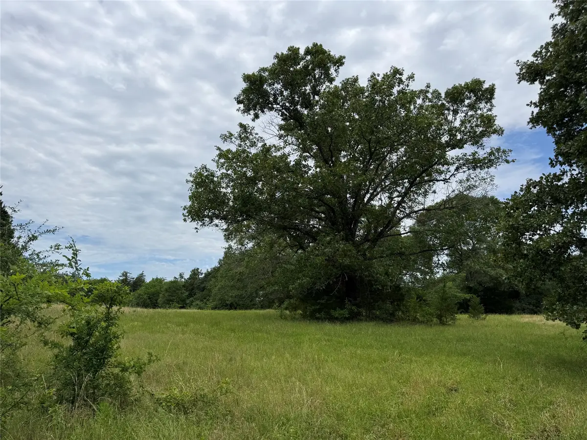 4451 County Road 2295, Telephone, TX 75488 - #1