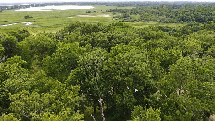 109 Lakeview Trail, Mabank, TX 75147 - #2