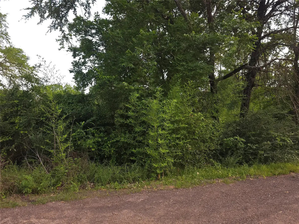 115 Abrams Road, Gun Barrel City, TX 75156 - #1