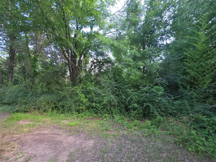 115 Abrams Road, Gun Barrel City, TX 75156 - #2