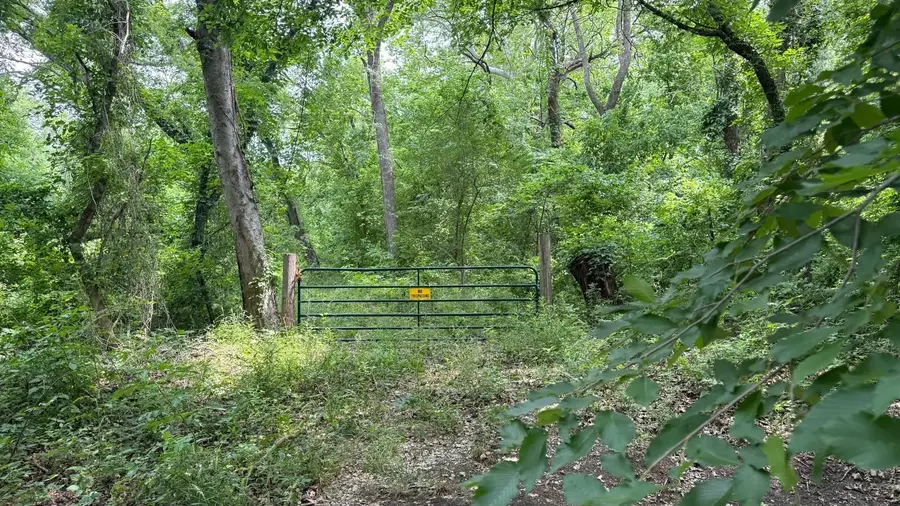 TBD Cr 470, Blue Ridge, TX 75071 - #3