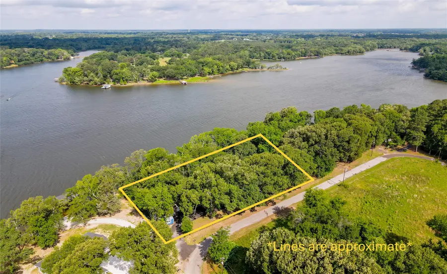 447 County Road 4845, Winnsboro, TX 75494 - #2