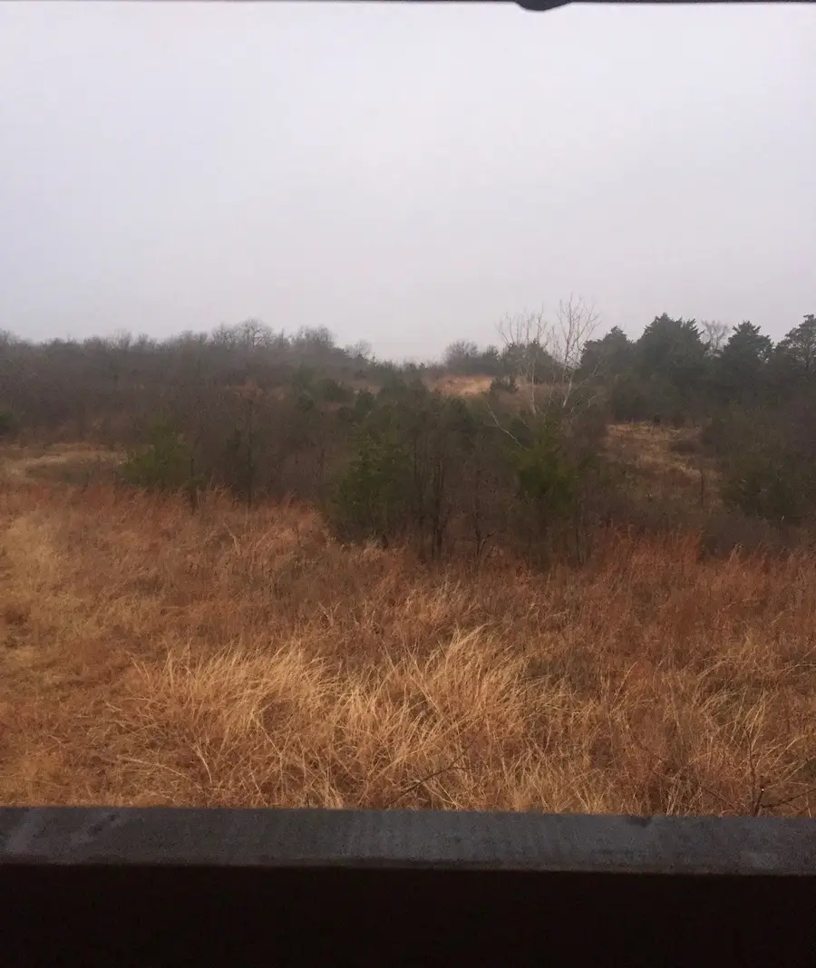 TBD County Road 103, Whitesboro, TX 76273 - #3