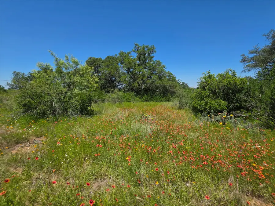 13915 County Road 237, Brownwood, TX 76801 - #2