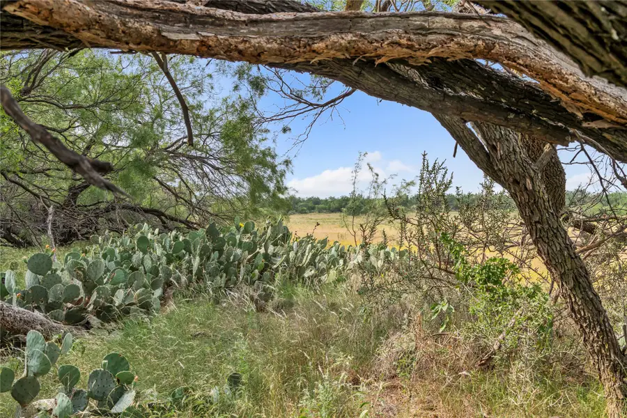 14175 State Highway 6, Moran, TX 76464 - #2