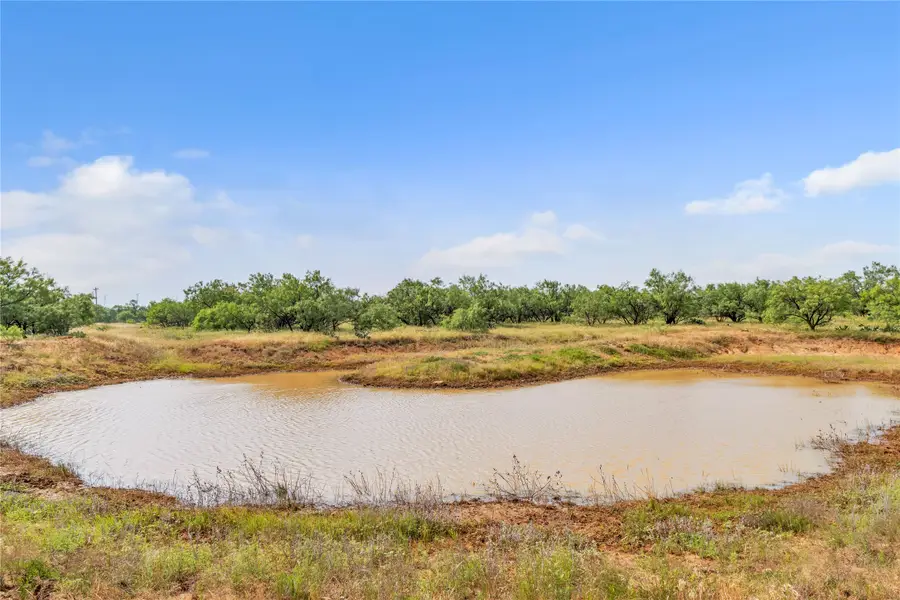 14175 State Highway 6, Moran, TX 76464 - #3