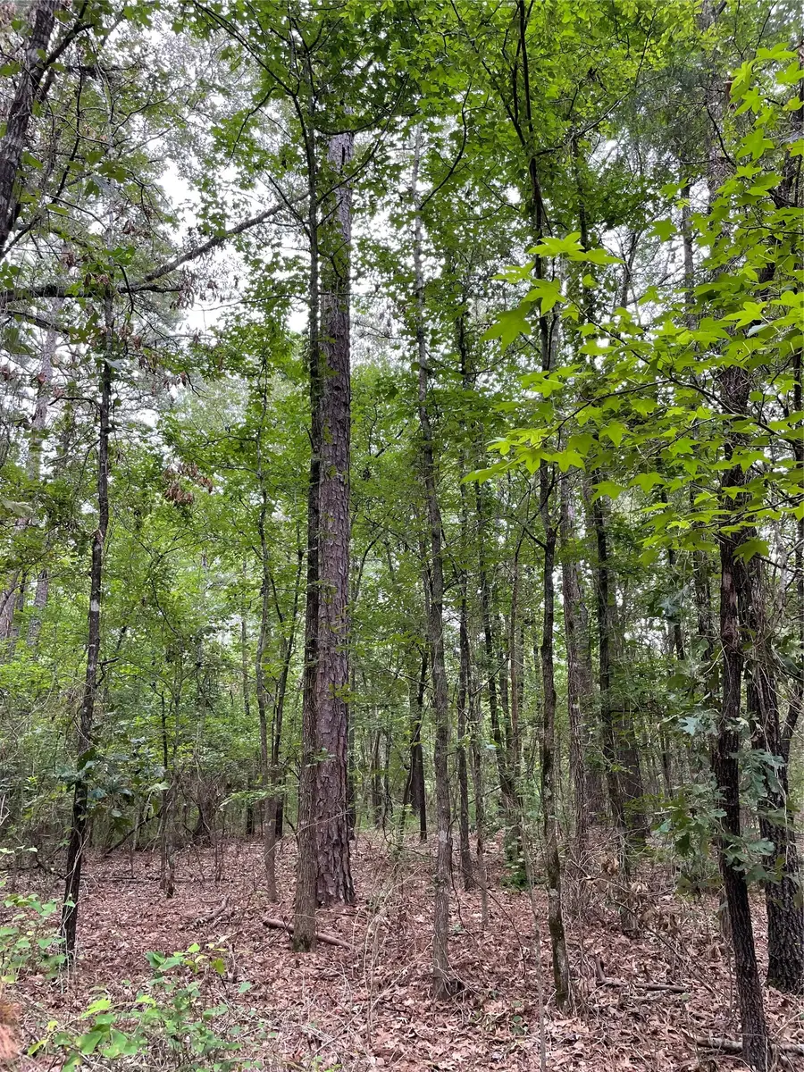 0000 Pr 6662, Mineola, TX 75773 - #3