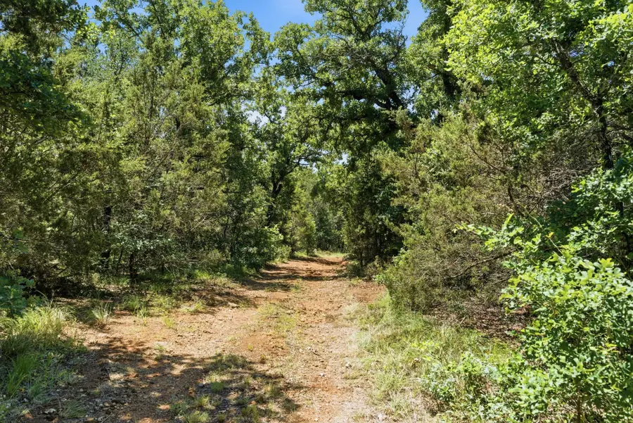 4320 Dobbs Valley Road, Millsap, TX 76066 - #3