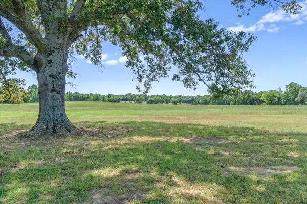 TBD County Road 4509, Ben Wheeler, TX 75754