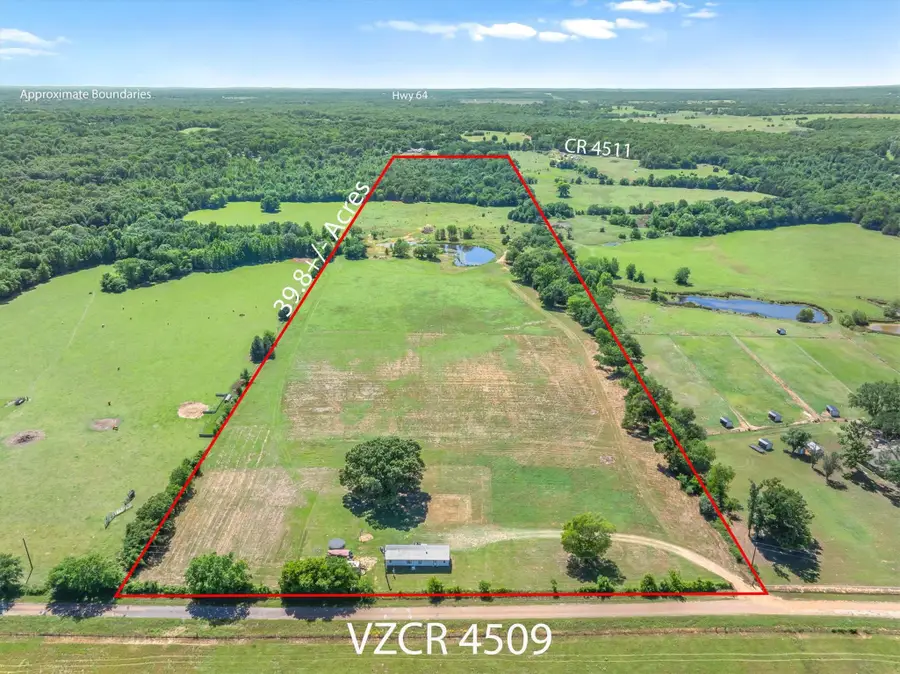 TBD County Road 4509, Ben Wheeler, TX 75754 - #3