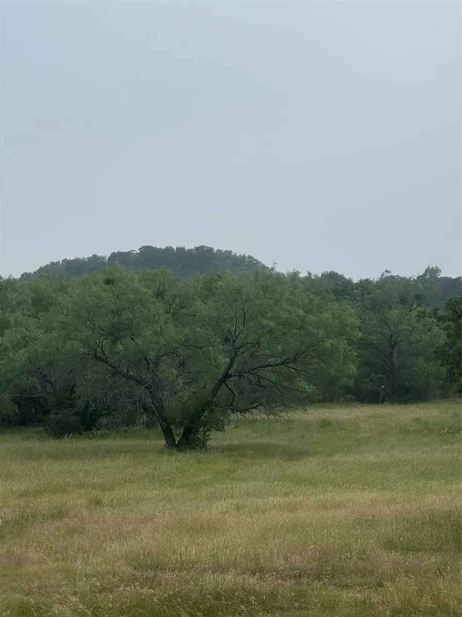 12152 County Road 156, Bluff Dale, TX 76433 - #3