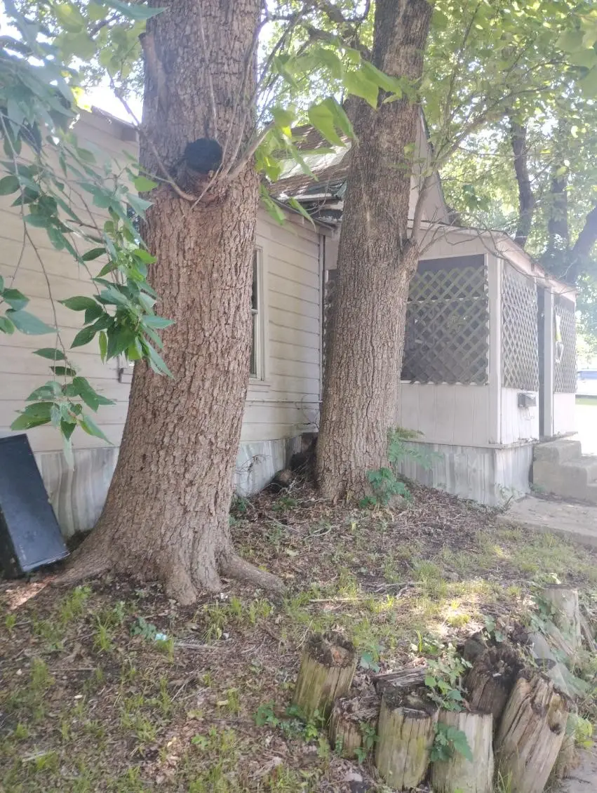 519 S 5th Street, Bonham, TX 75418 - #3