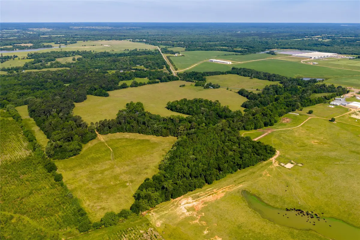 13888 Fm 556, Pittsburg, TX 75686 - #1