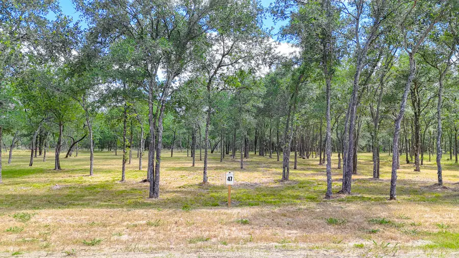 Lot 47 Little Pin Oak Way, Richland, TX 76681 - #2