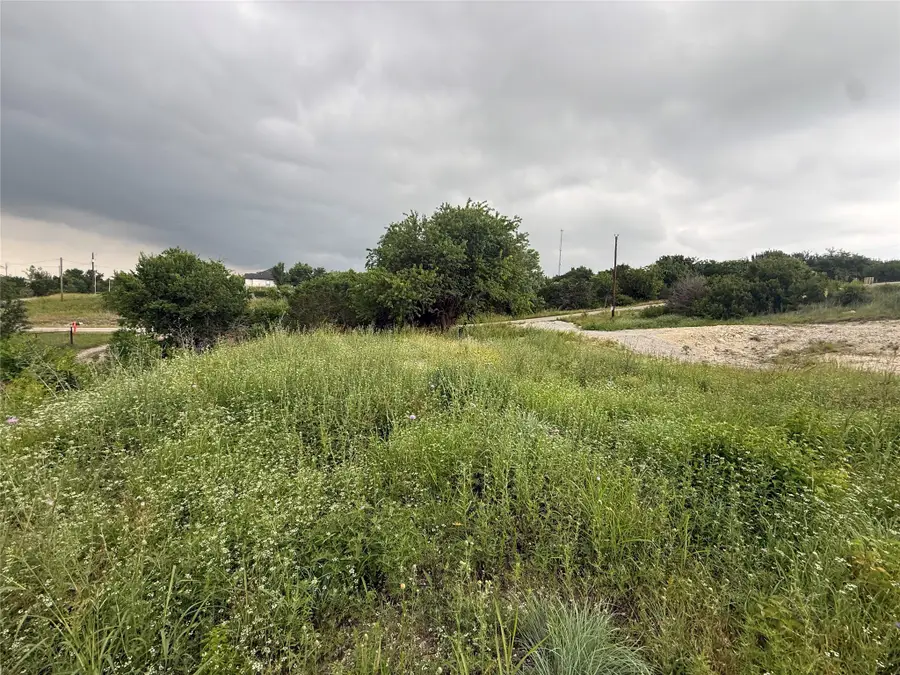 113 Denton Heights Lane, Weatherford, TX 76085 - #3