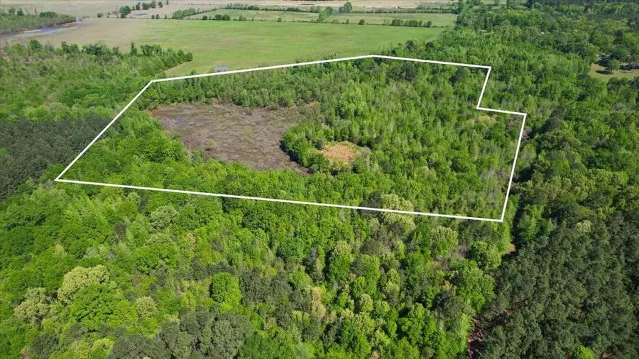 TBD Cr 1143, Daingerfield, TX 75638 - #2