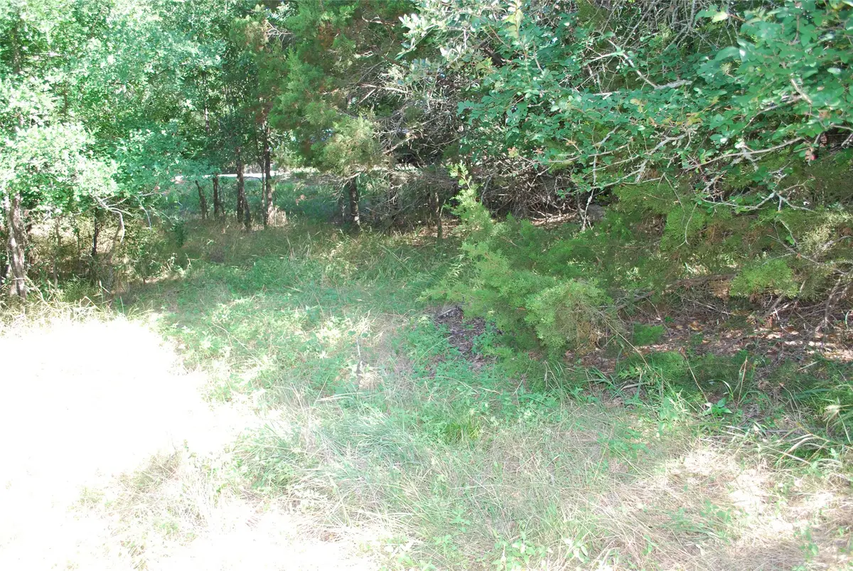 1306 Overlook Drive, Whitney, TX 76692 - #1