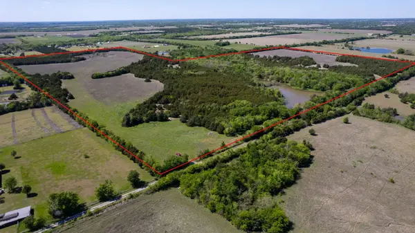 TBD County Road 5020 Road #OF, Blue Ridge, TX 75424