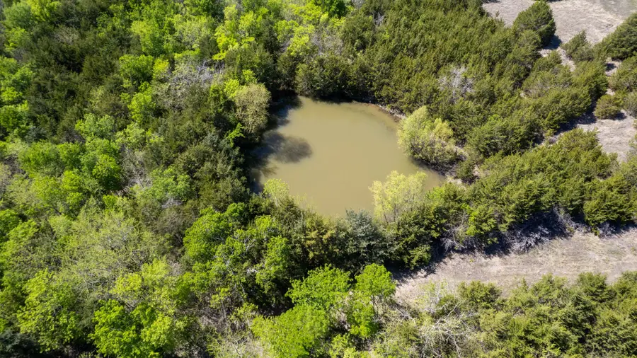 TBD County Road 5020 Road #OF, Blue Ridge, TX 75424 - #3