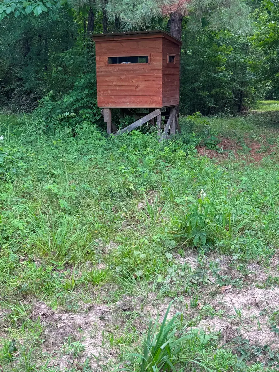 TBD Hwy 259, Diana, TX 75640 - #2