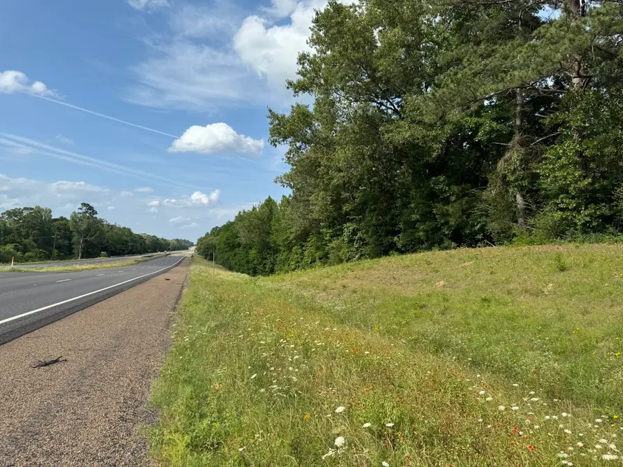 TBD Hwy 259, Diana, TX 75640 - #3