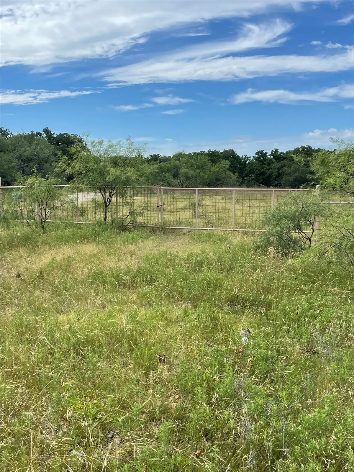 31.09 ac Hoefle Road, Jacksboro, TX 76458 - #1