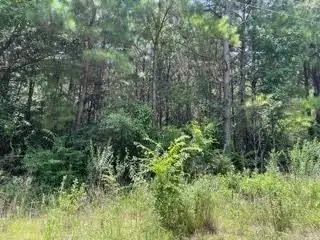 LOT 4 Fm 556, Pittsburg, TX 75686 - #1