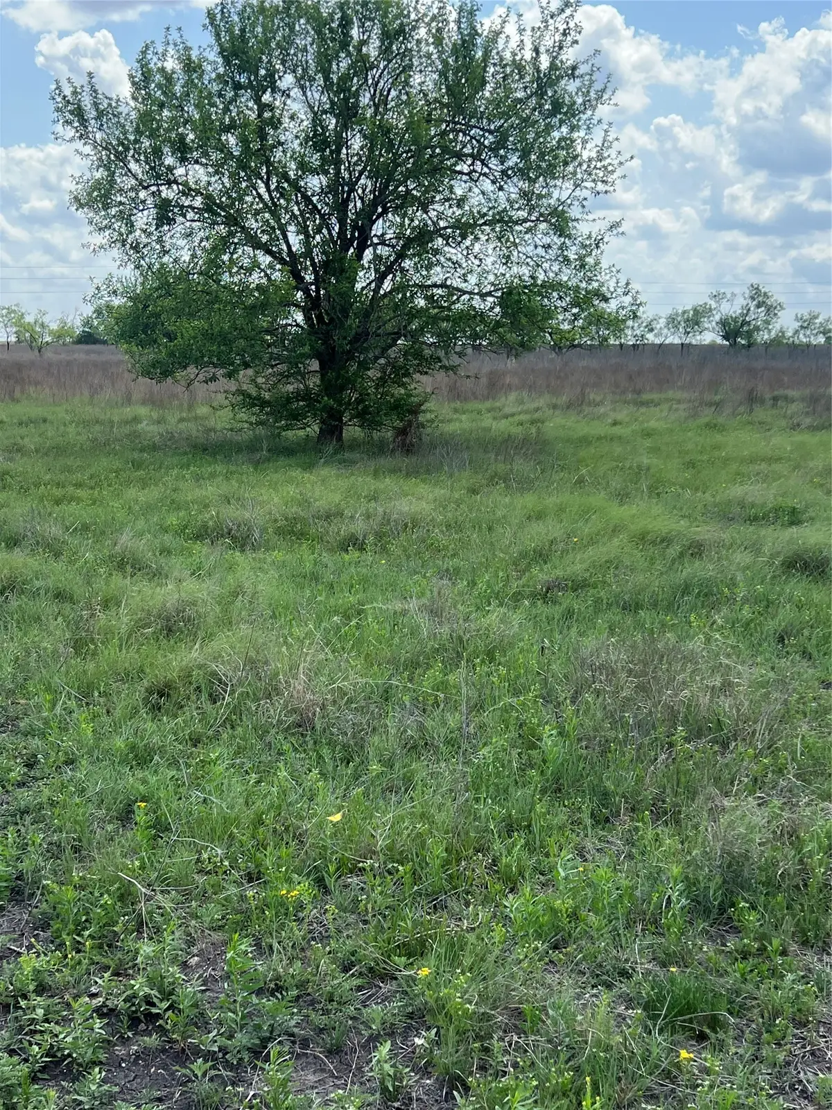 #28 Private Road 4311, Jonesboro, TX 76531 - #1