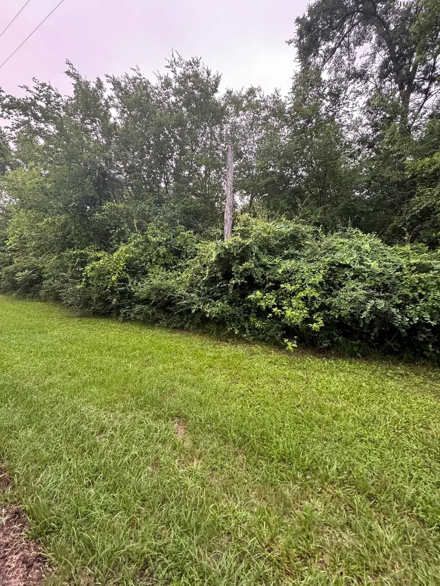 TBD Private Road 4326, Mount Pleasant, TX 75455 - #2