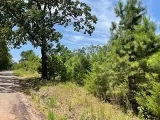 LOT 8 Fm 556, Pittsburg, TX 75686 - #1