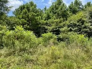 LOT 9 Fm 556, Pittsburg, TX 75686 - #3