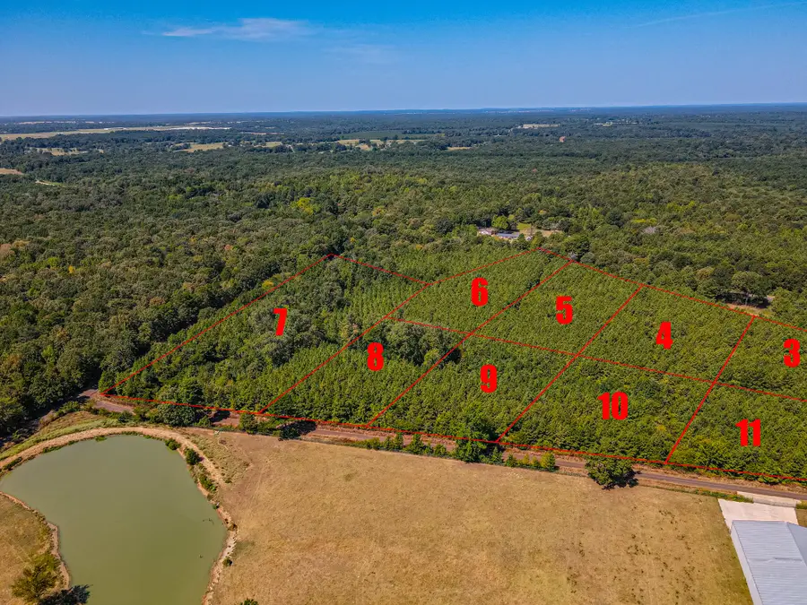LOT 11 Fm 556, Pittsburg, TX 75686 - #3