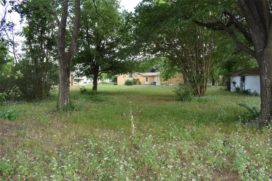 tbd E Davis Street, Whitney, TX 76692 - #3