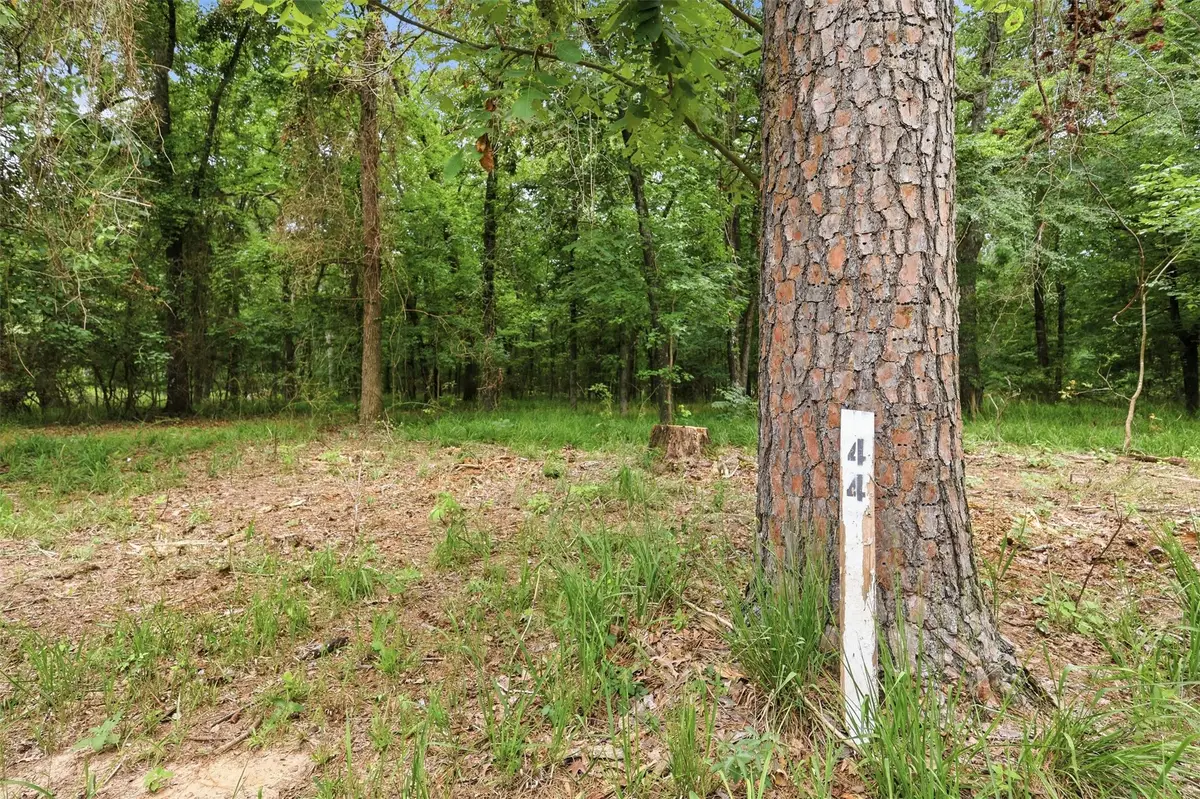 Lot 44 Sterling Shores Drive, Scroggins, TX 75480 - #1