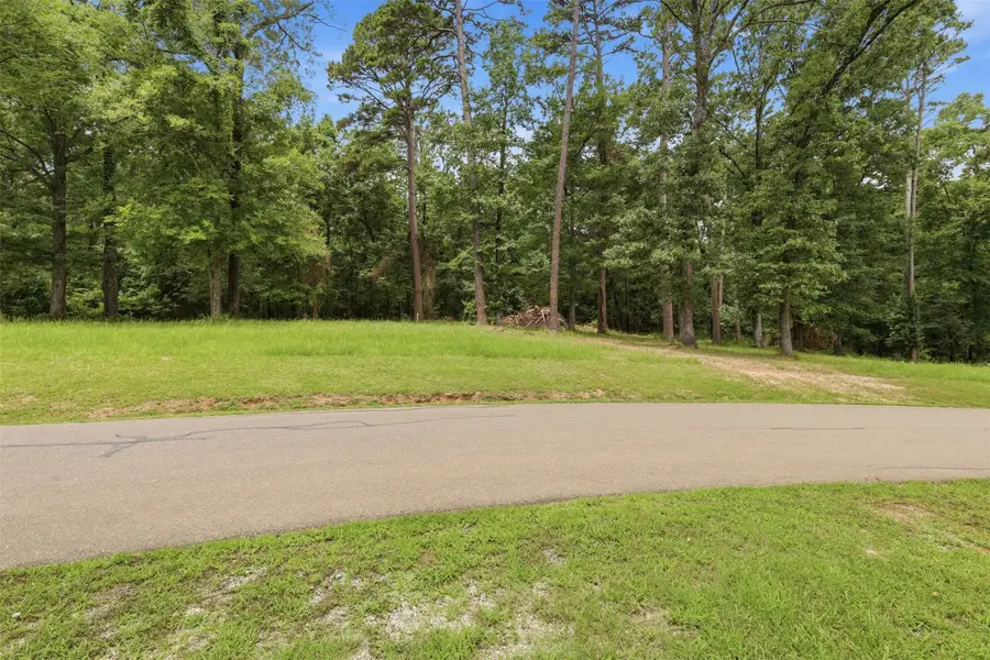 Lot 44 Sterling Shores Drive, Scroggins, TX 75480 - #2