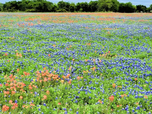 Lot 2 Private Road 425, Hillsboro, TX 76645