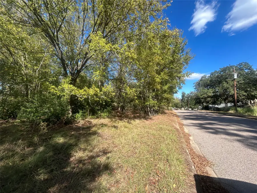 10 Bayshore Drive, Athens, TX 75752 - #3