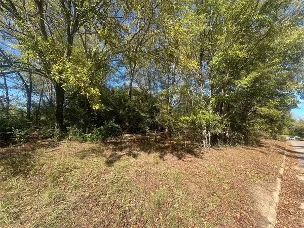 9 Bayshore Drive, Athens, TX 75752