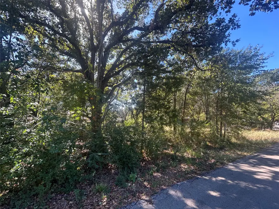0 Bluebonnet Drive, Gun Barrel City, TX 75156 - #2