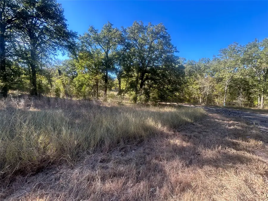 58 Point Lavista, Malakoff, TX 75148 - #3